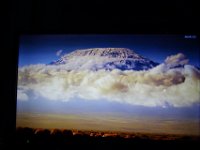 DSC04197