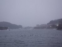 DSC04234