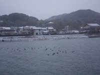 DSC04235