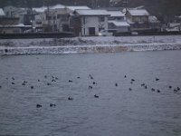 DSC04236