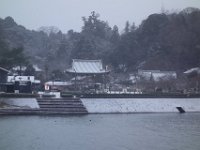 DSC04239