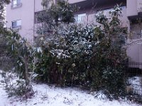 DSC04241