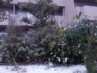 DSC04242