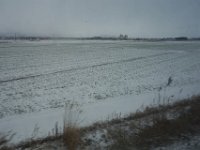 DSC04255