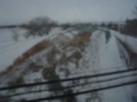 DSC04256