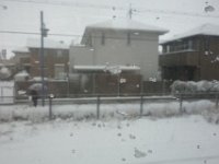 DSC04261