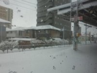 DSC04262