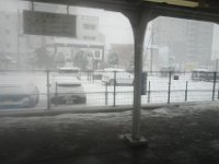 DSC04273