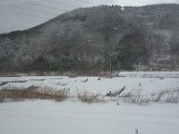 DSC04282