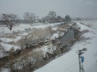 DSC04287
