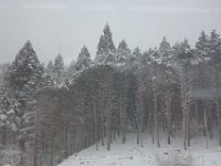 DSC04290