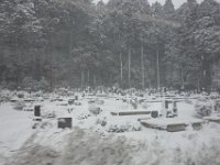 DSC04291