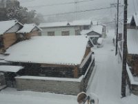 DSC04292