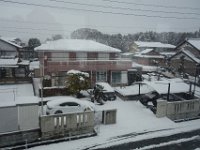 DSC04294