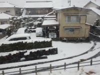 DSC04295