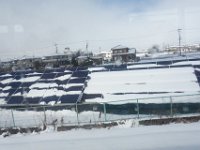 DSC04297
