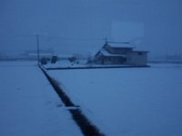 DSC04340