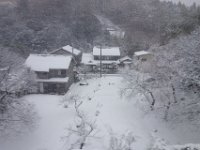DSC04348