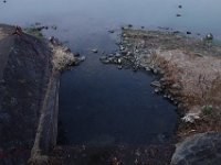 DSC04408