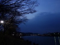 DSC04461
