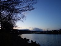 DSC04504