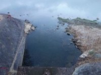 DSC04525