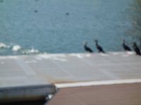 DSC04637