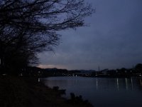DSC04646
