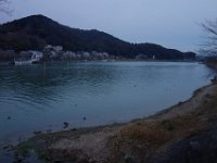 DSC04654
