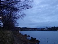 DSC04767