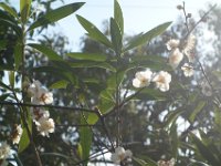 DSC04850