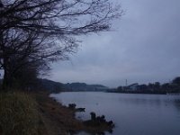 DSC04890