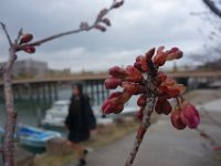 DSC04901
