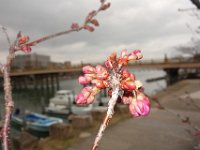 DSC04902