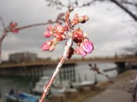 DSC04903