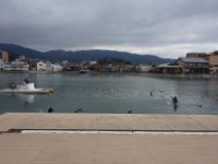 DSC04905