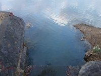 DSC04919