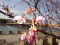DSC04928