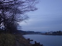 DSC04949