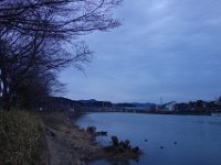 DSC04996