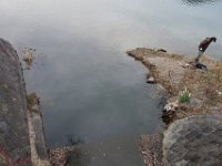 DSC05005