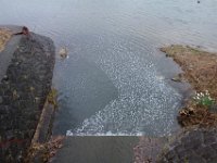 DSC05029