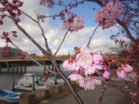 DSC05051