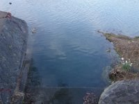 DSC05074