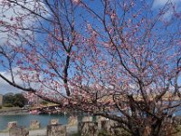 DSC05078