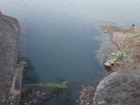 DSC05181