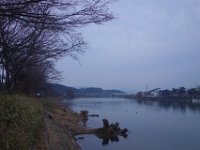 DSC05184