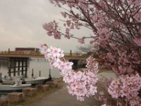 DSC05195