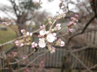DSC05198