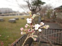 DSC05199